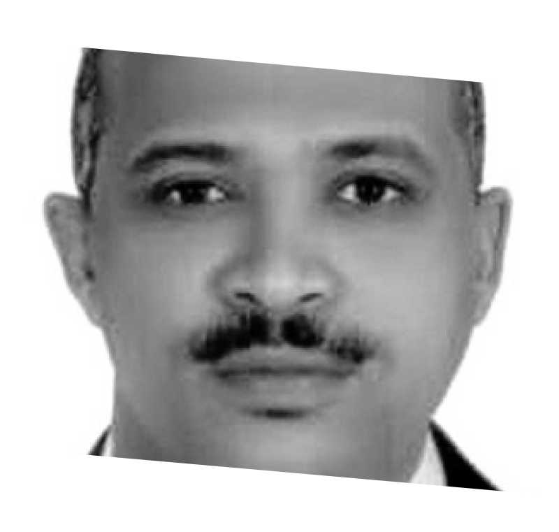 Ibrahim Bakri Mohamed Elamin 